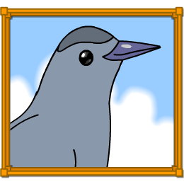 Grey Catbird activity screenshot