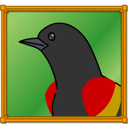 Redwing Blackbird activity screenshot
