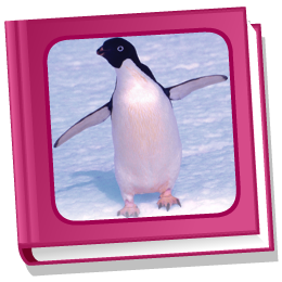 Penguin, Penguin activity screenshot