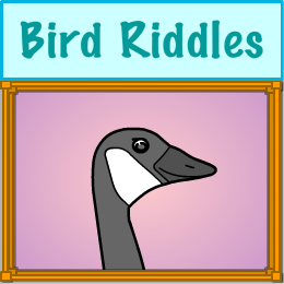 Bird Riddles activity screenshot