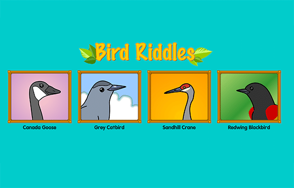 Bird Riddles index